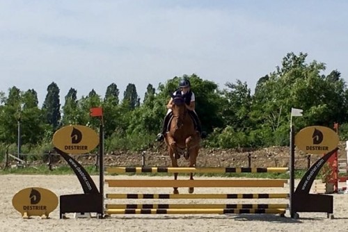 Image de cheval