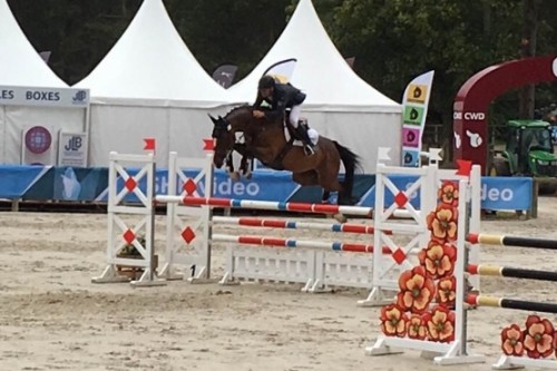 Image de cheval