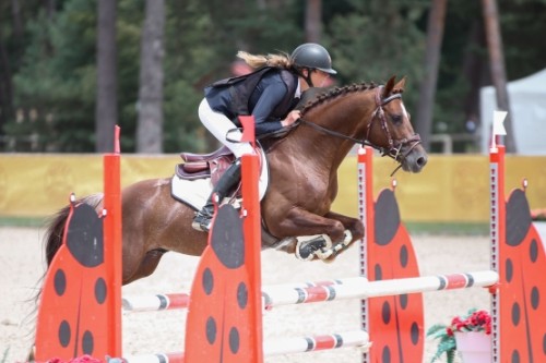 Image de cheval