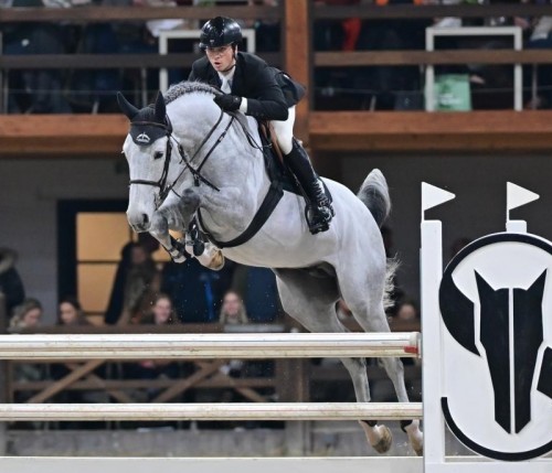 Image de cheval