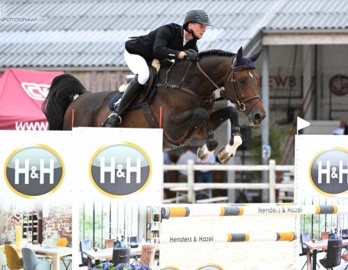 Image de cheval