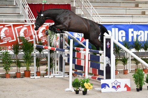 Image de cheval