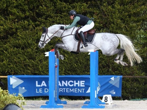 Image de cheval