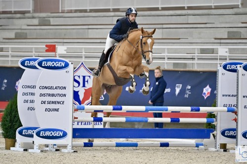 Image de cheval