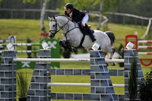 Image de cheval