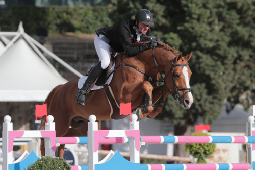 Image de cheval