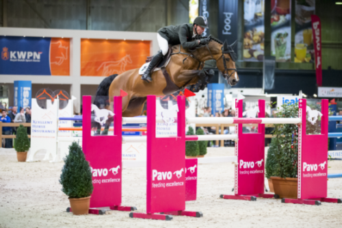 Image de cheval