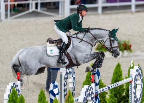 Image de cheval