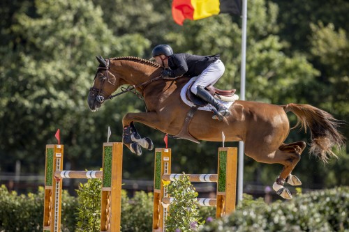 Image de cheval