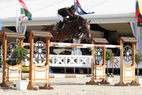 Image de cheval