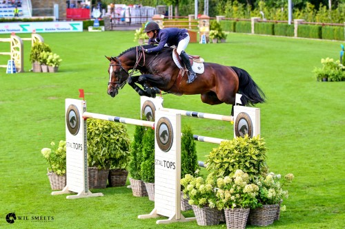 Image de cheval