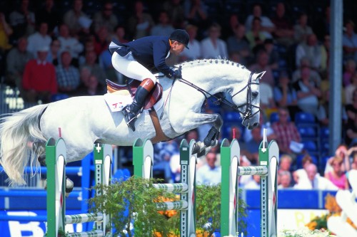 Image de cheval