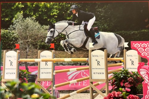 Image de cheval