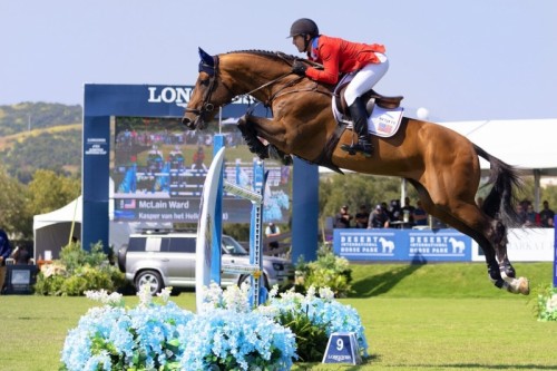 Image de cheval