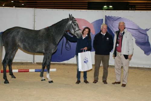 Image de cheval