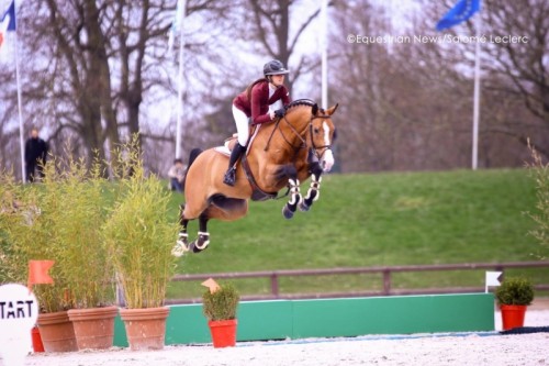 Image de cheval