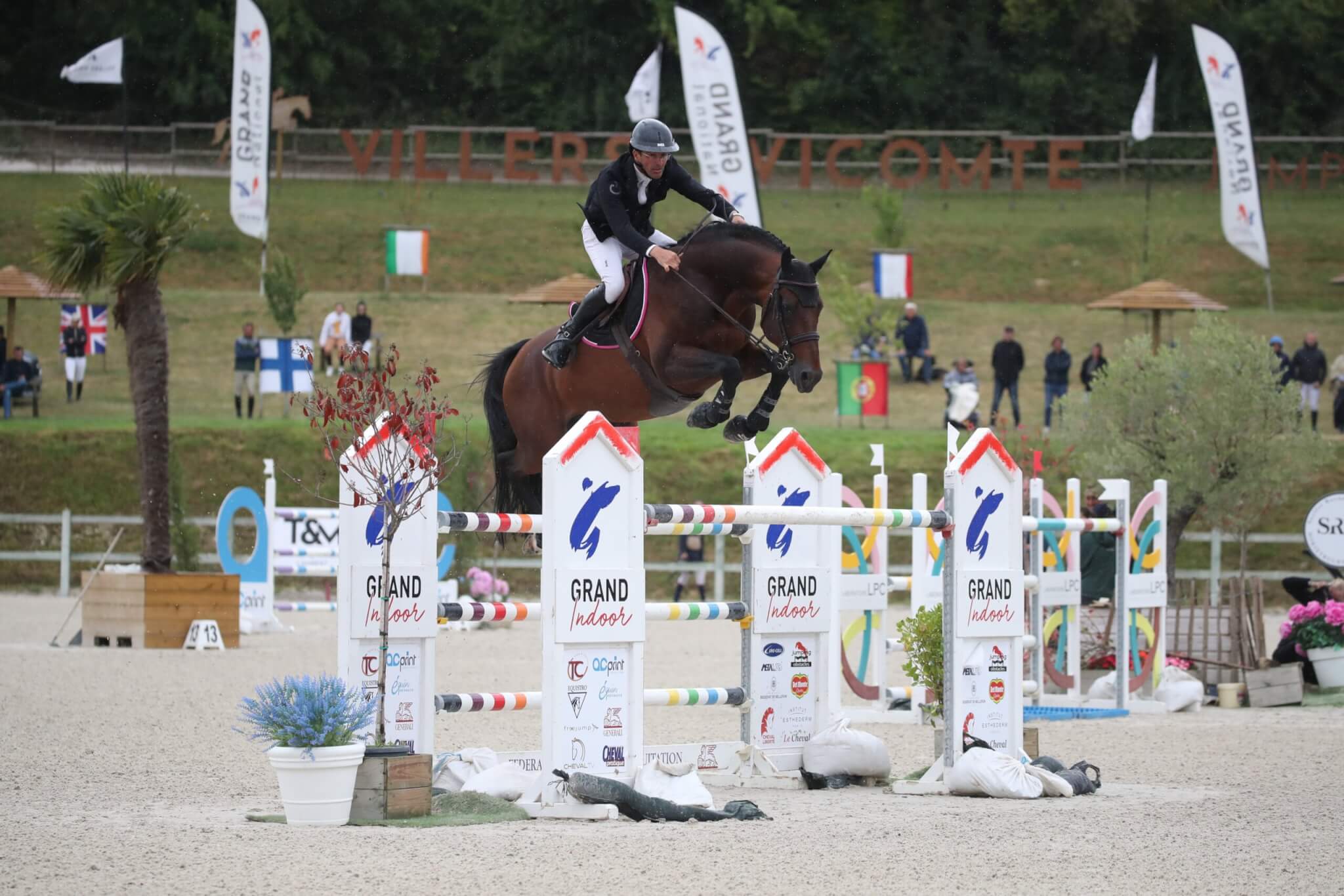 Retrouvez nos étalons au Championnat du Monde de l’élevage !