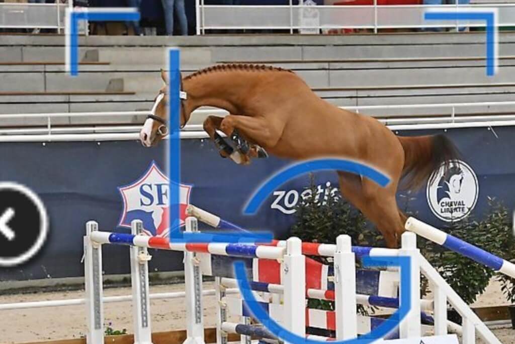 La production d’Arezzo VDL à l’honneur à St-Lô