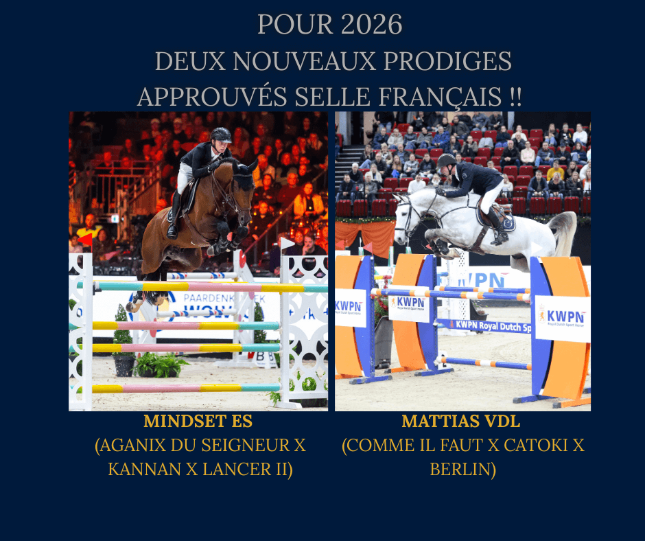 Pedigree, Performances…