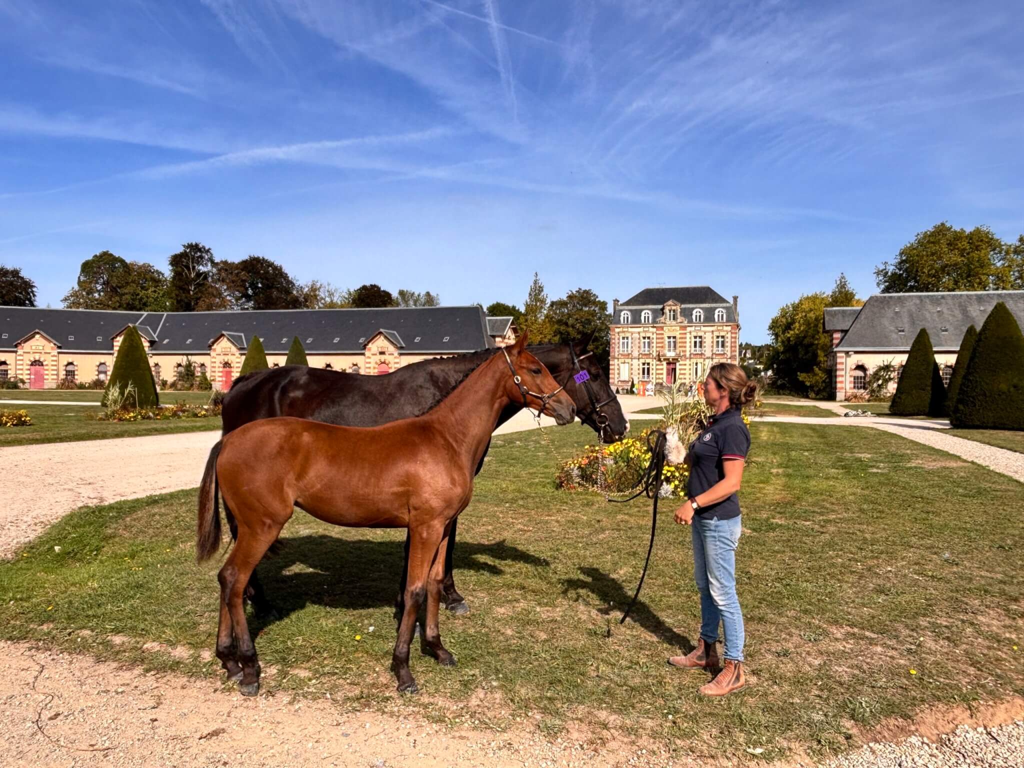 Deux poulains au Championnat de France à St-Lô