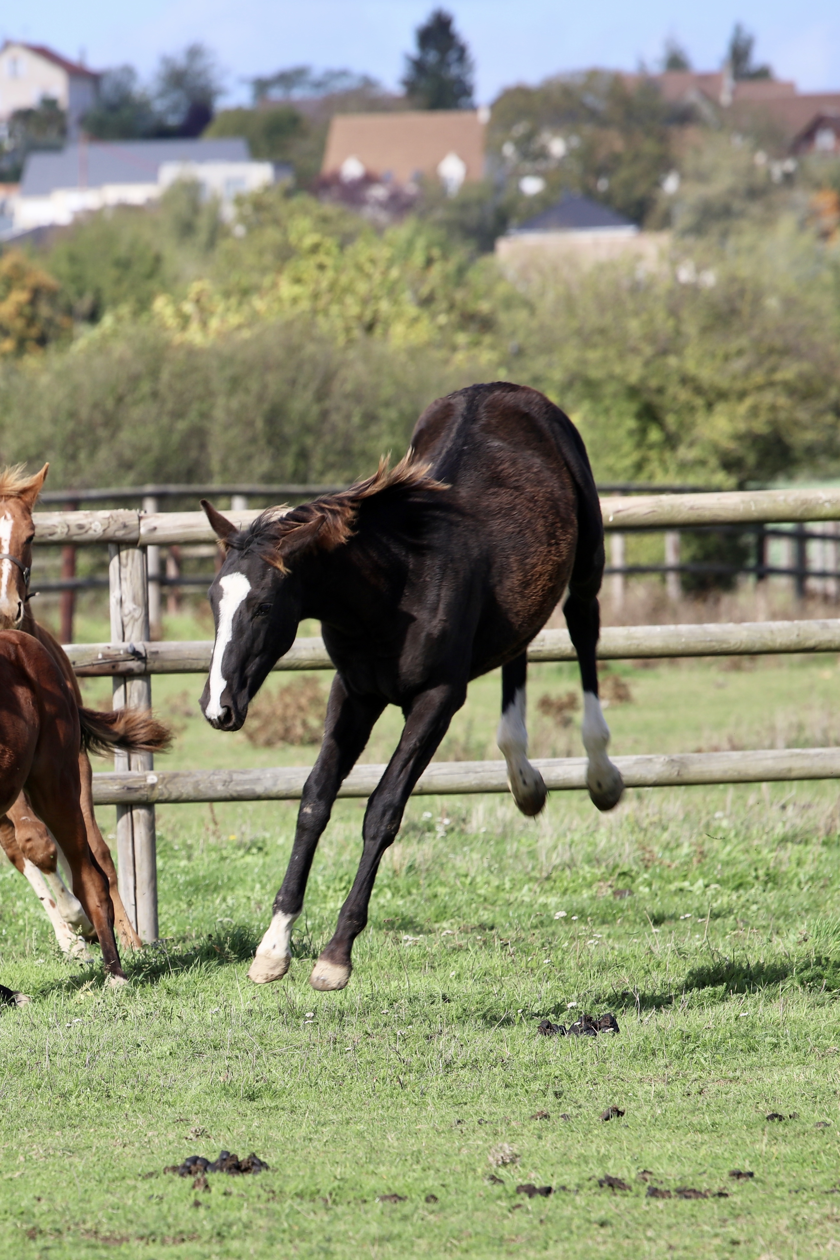 JUST DO IT GRAVELOTTE