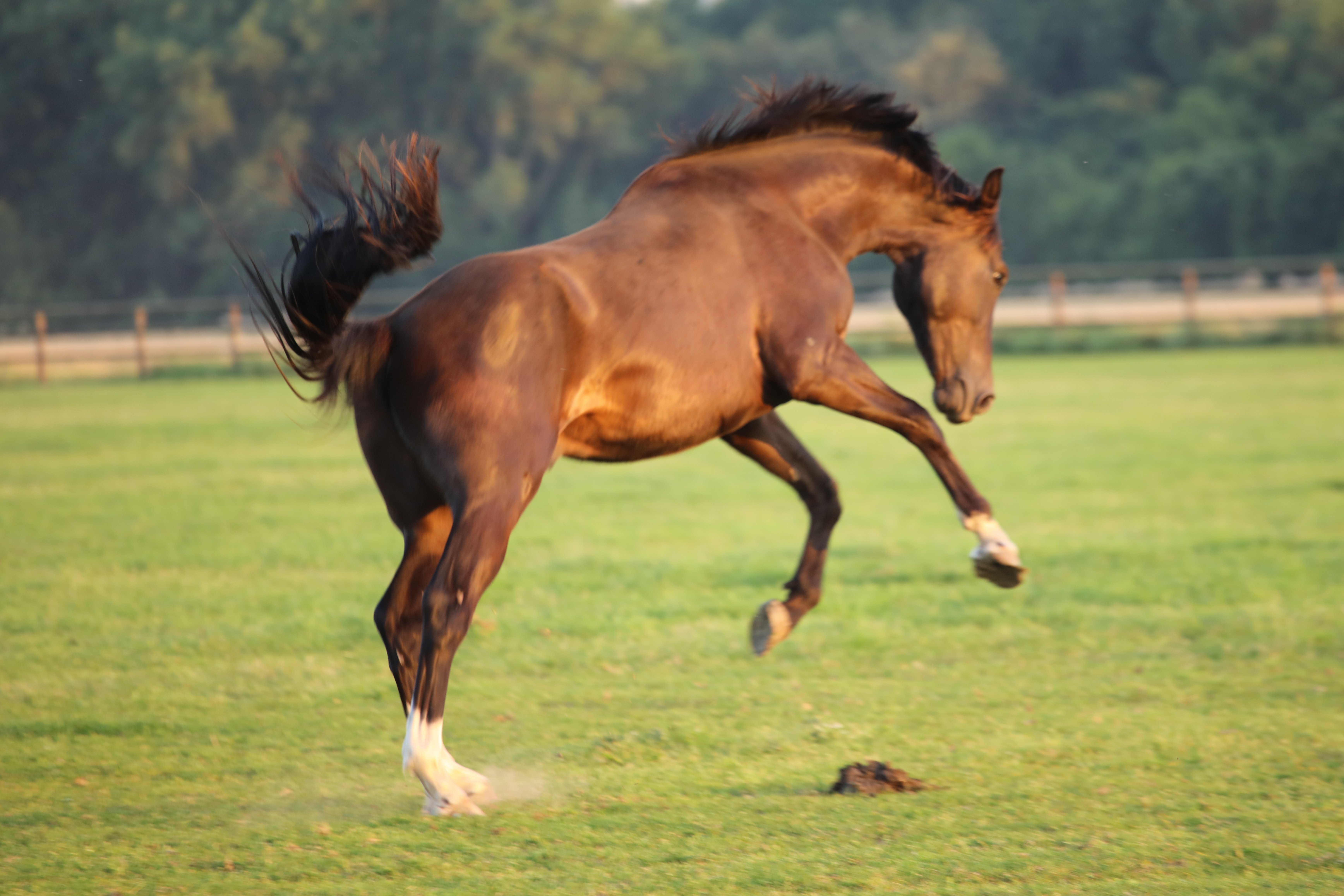 JUST DO IT GRAVELOTTE